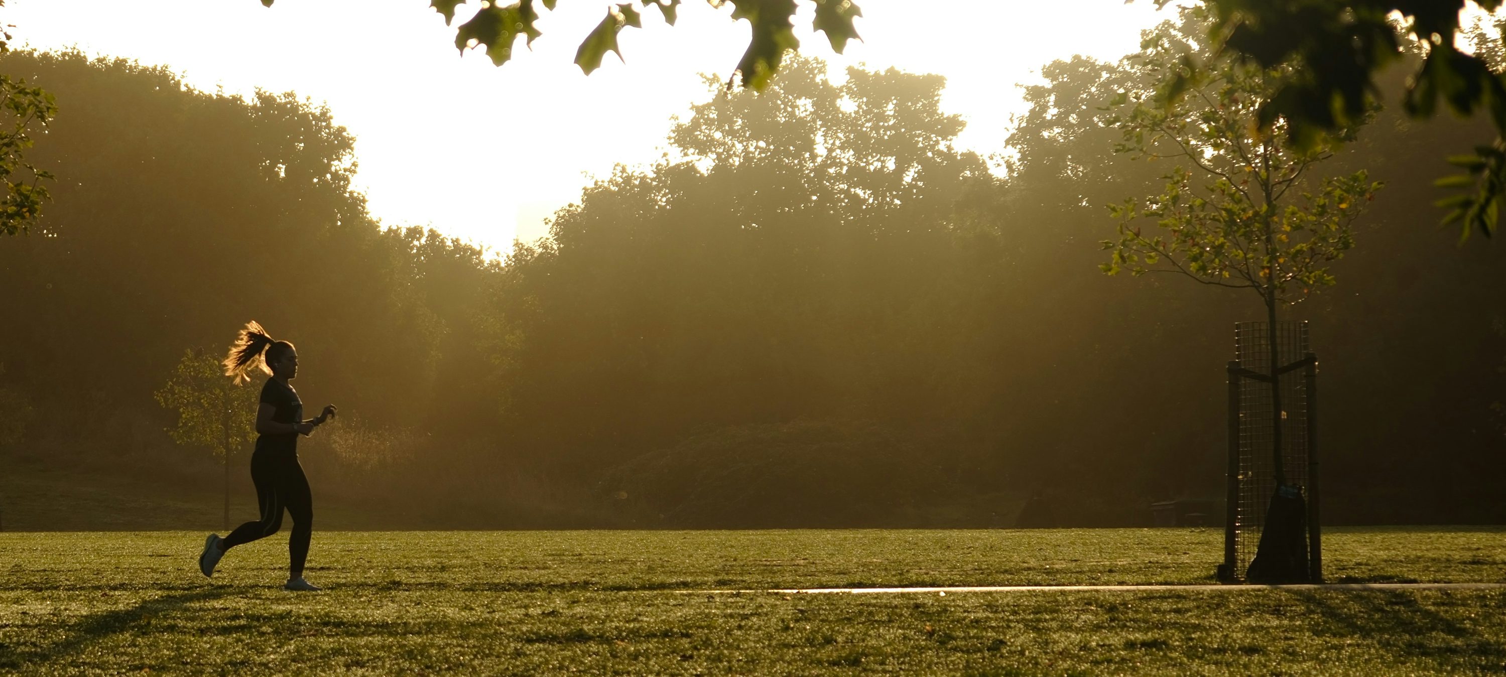 A runner jogging through a leafy park in warm morning light.